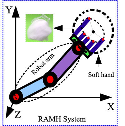 Robot arm with micro-hand system