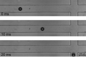 Snapshots of particle sorting experiment using our system