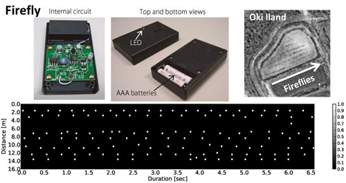 Sound-to-light conversion devices, Fireflies, in Oki Island and their lighting pattern of frog calling