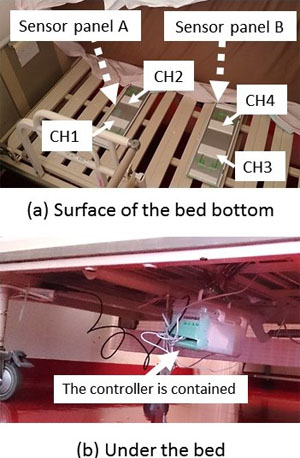 The motion detection system