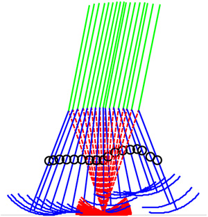 Stick diagram of limit cycle walking with asymmetric swing-leg motion