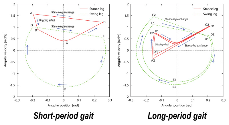 Short- and long-period sliding passive compass gaits