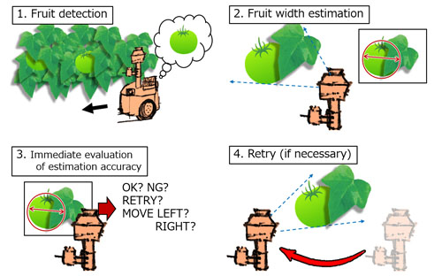 Tomato monitoring procedures including immediate evaluation