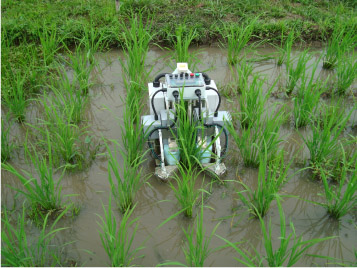 Movement of the weeding robot