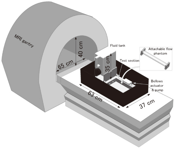 Conceptual diagram of the flow phantom system