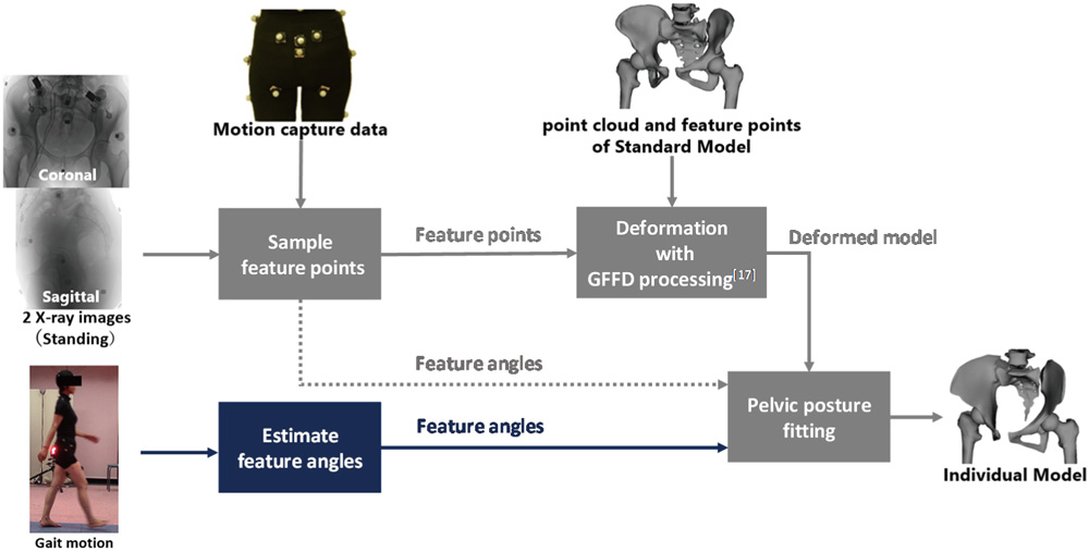 Pelvis individualization method