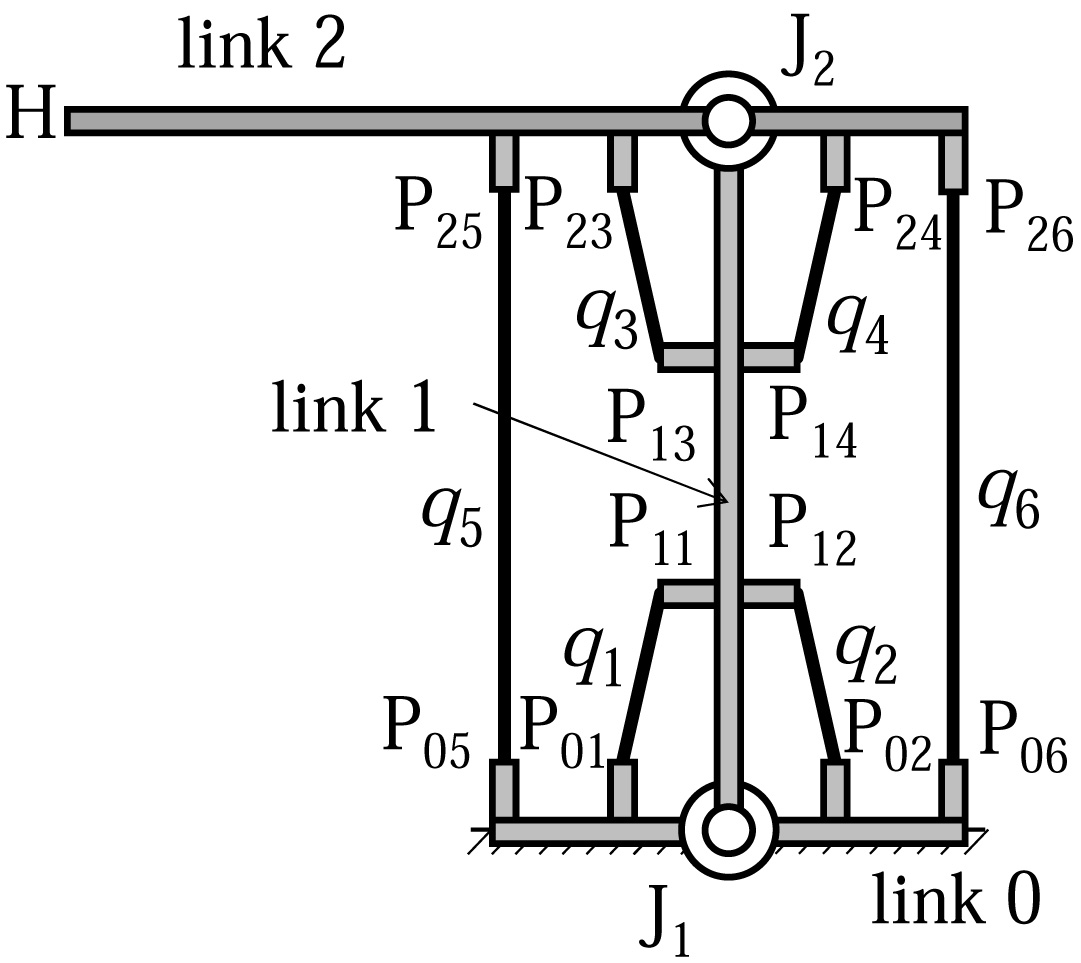 The model of a robot arm with biarticular muscles