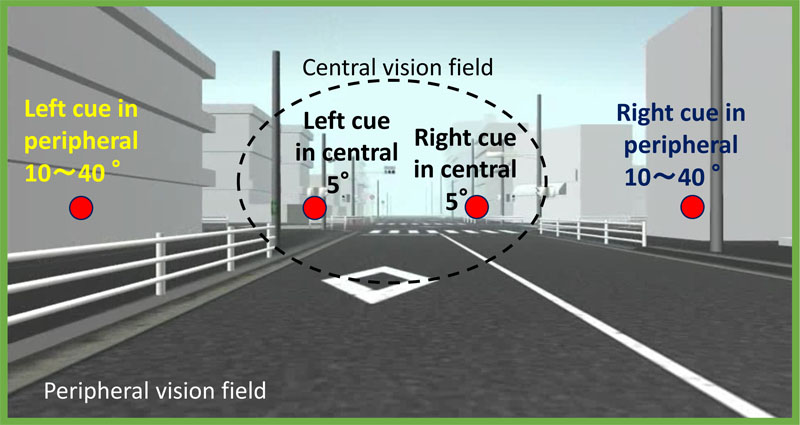 Preceding cue in peripheral vision field might decrease detection time of detected cue in central vision field