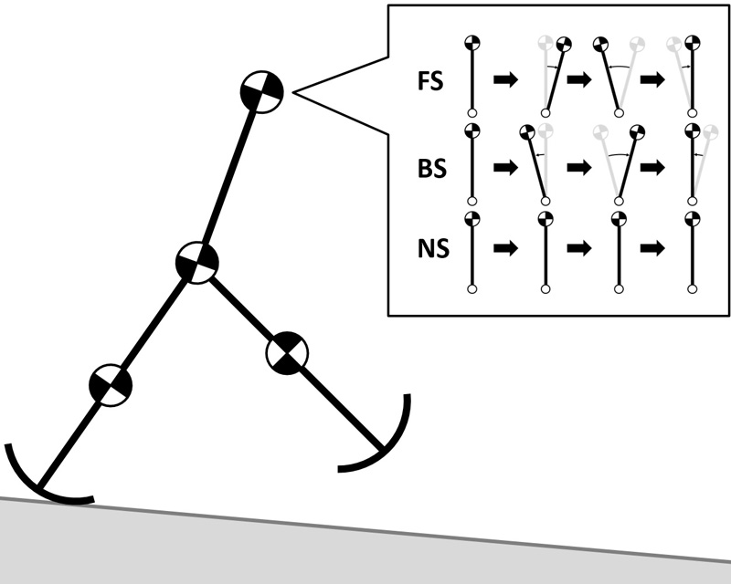 Biped walker with three types of trunk swing