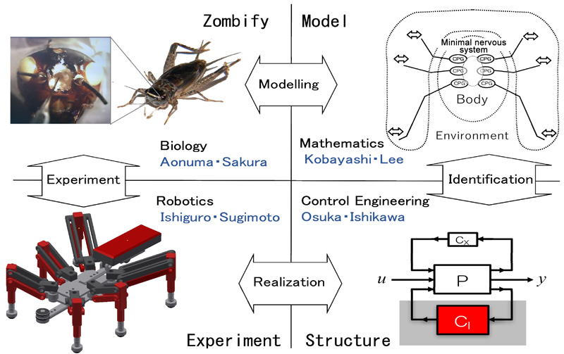 Research procedure of searching source of various behaviors