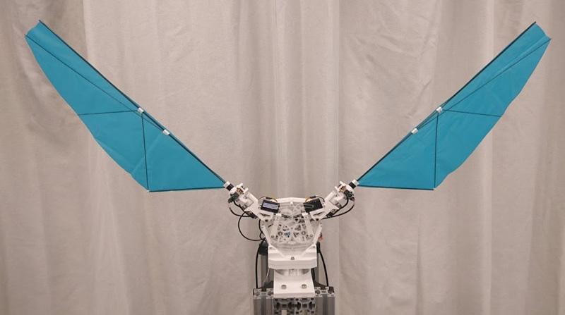 The developed flapping-wing robot