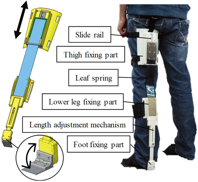 Leaf spring assist suit considering gait