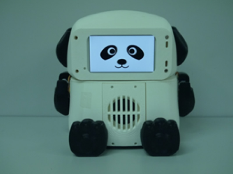 The robot partner for information support
