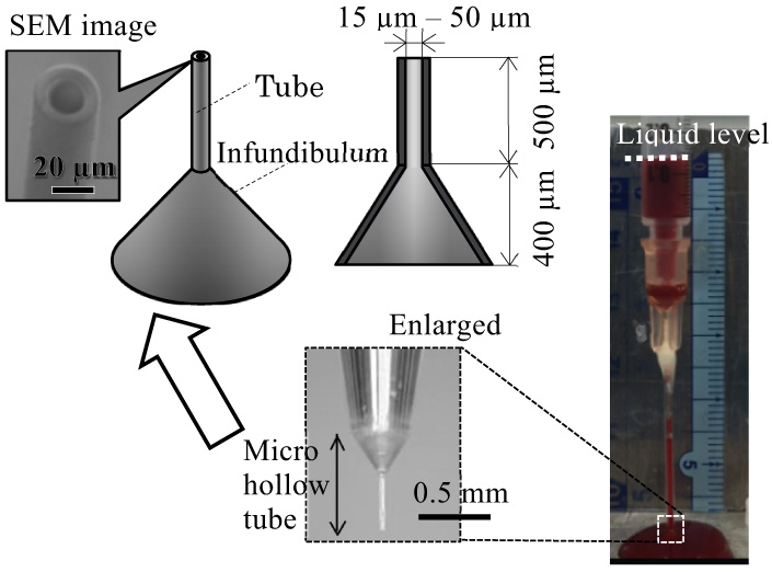 Effect of Inner Diameter and Anticoagulation Coating in a Microneedle on its Blood Suction Performance