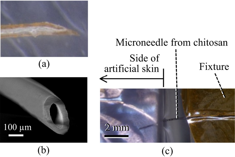 Biodegradable hollow microneedle from chitosan