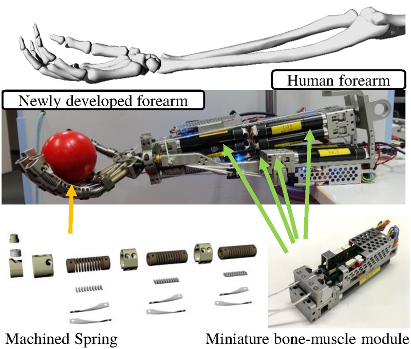 Developed forearm and hand of Kengoro