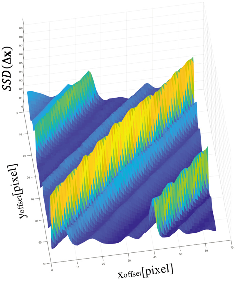 SSD score distribution obtained by template matching using the proposed method