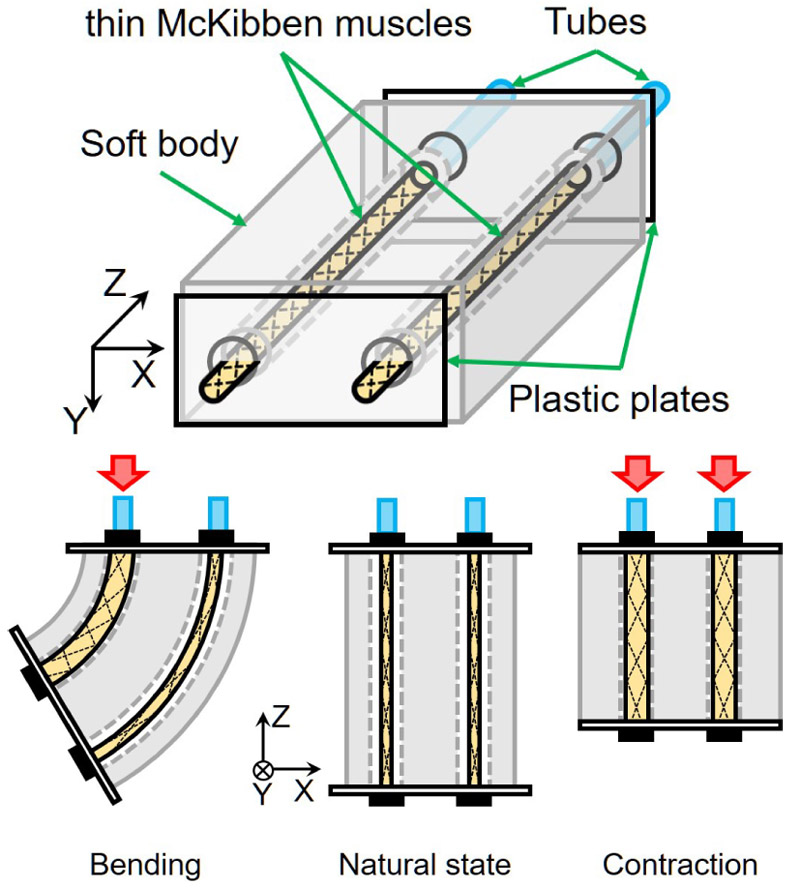 Flexible pneumatic bending actuator