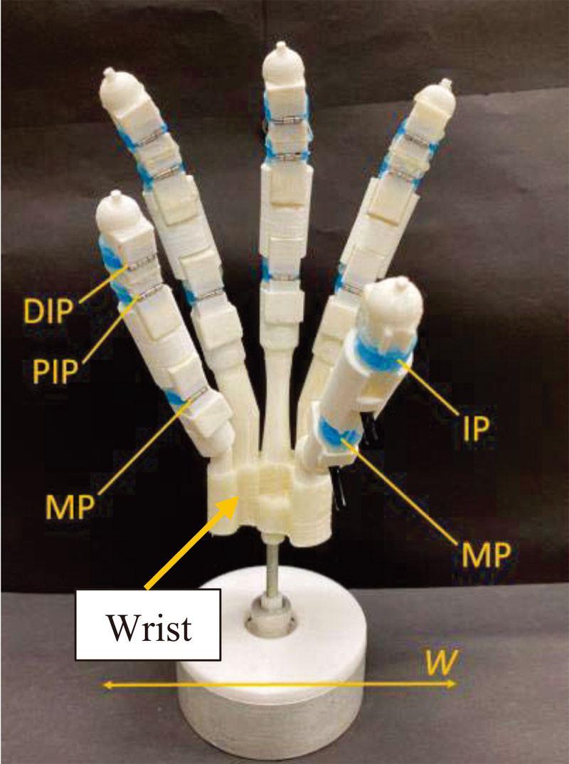 Pneumatic robot hand