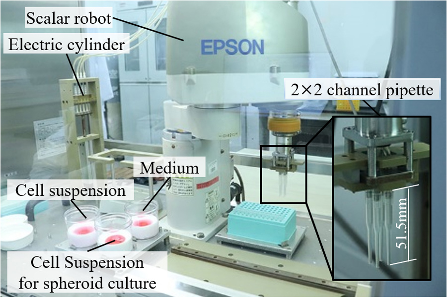 Automatic spheroid culture system