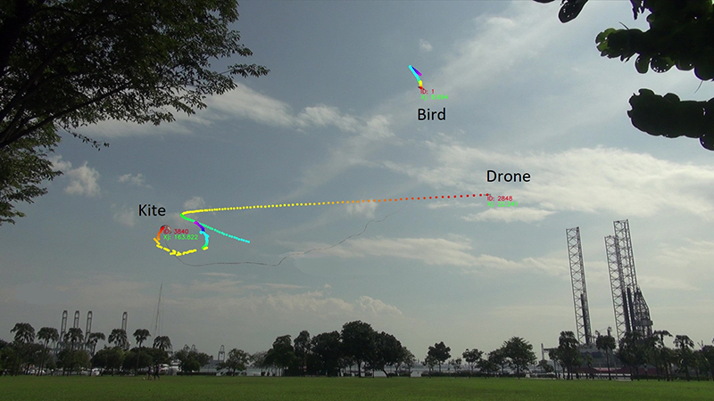 Classification of kite, bird and drone based on trajectories and SVM