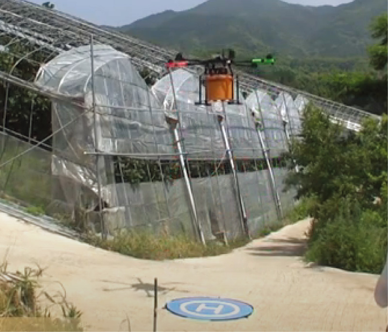 Drone transporting the harvested fruit