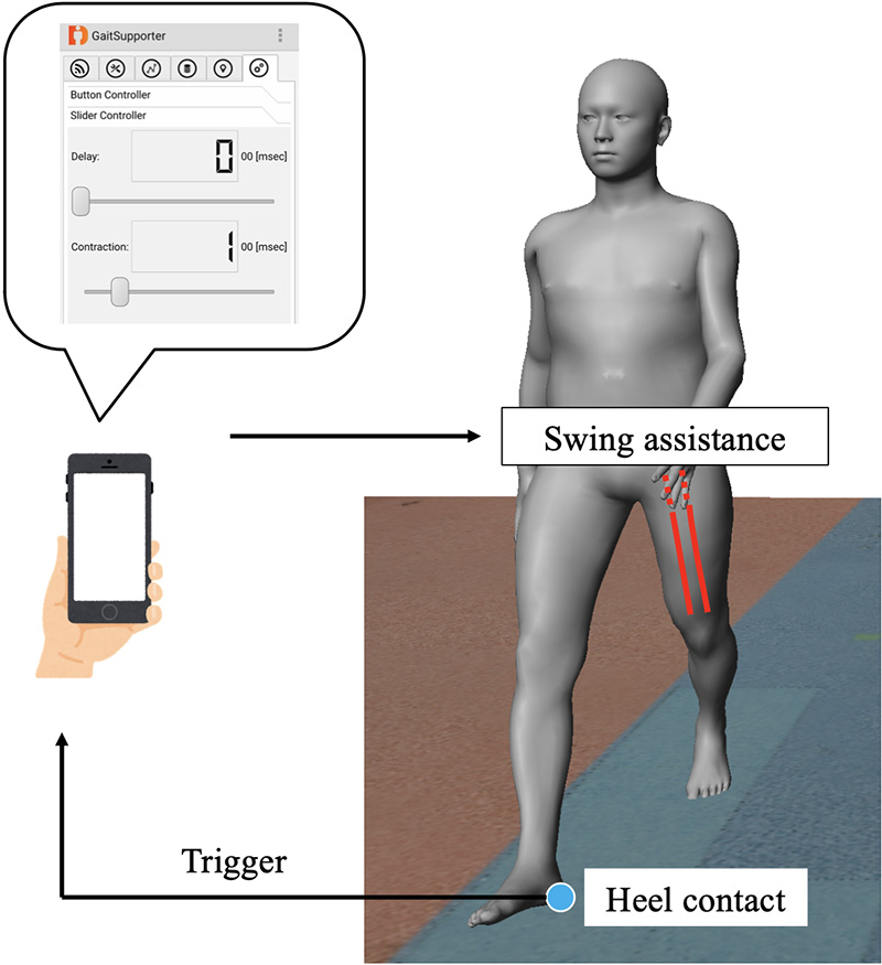 Schematic diagram of swing assistance