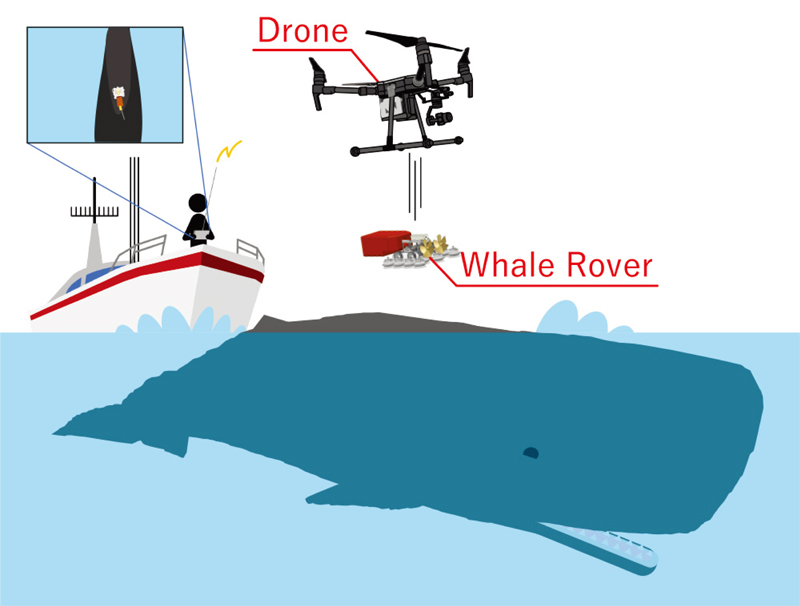 Logger attaching system using a drone