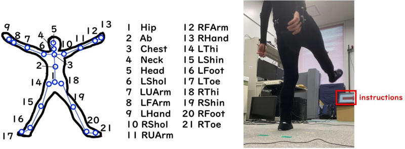 Type of movements measured in the paper