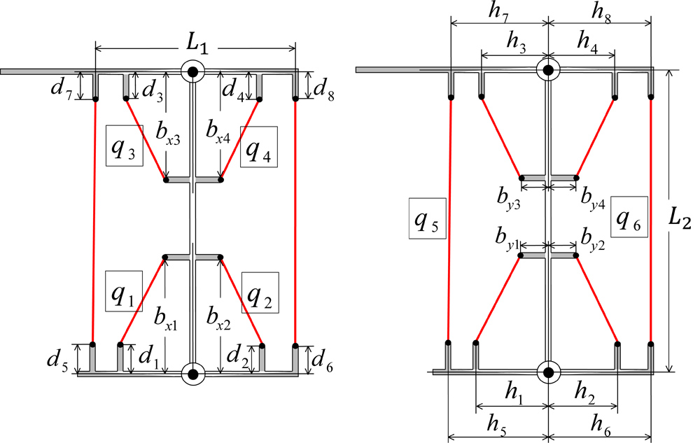 Parameters of muscular arrangement