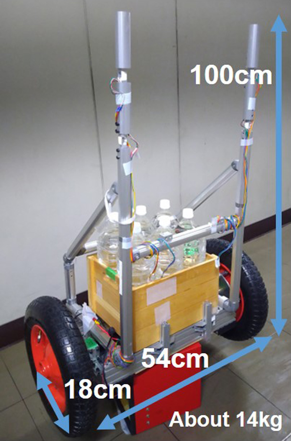 Two-wheeled inverted pendulum robot