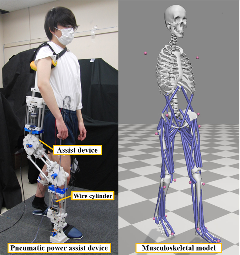 Developed gait rehabilitation system