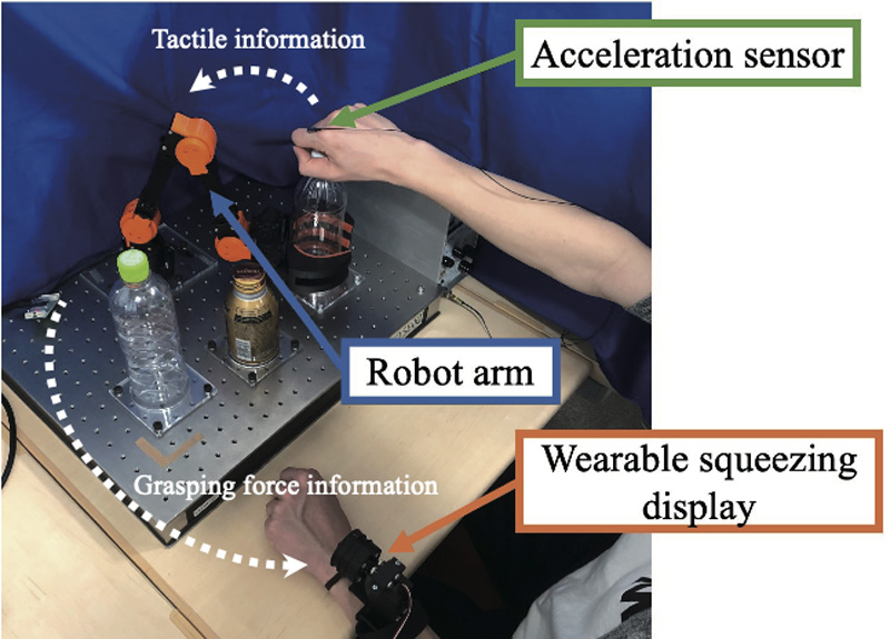 Human-robot collaboration system with bilaterally shared haptic perception