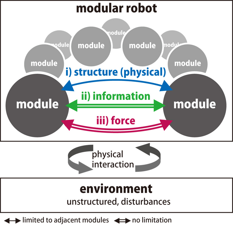 Inter-Module Physical Interactions: A Force-Transmissive Modular Structure for Whole-Body Robot Motion
