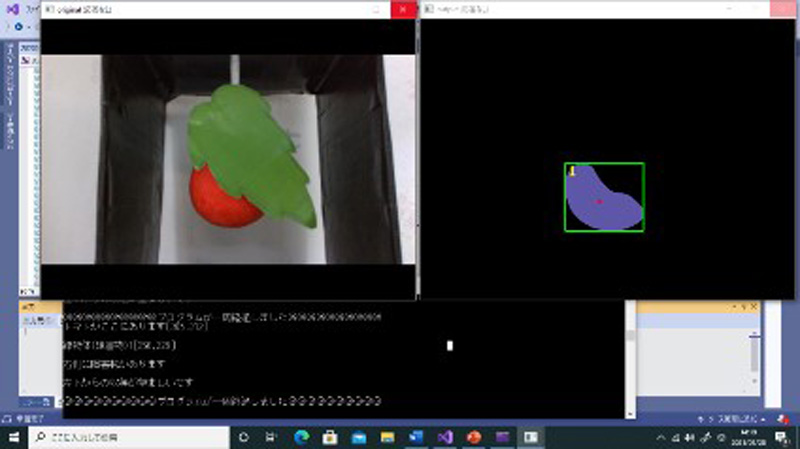 Tomato Recognition for Harvesting Robots Considering Overlapping Leaves and Stems