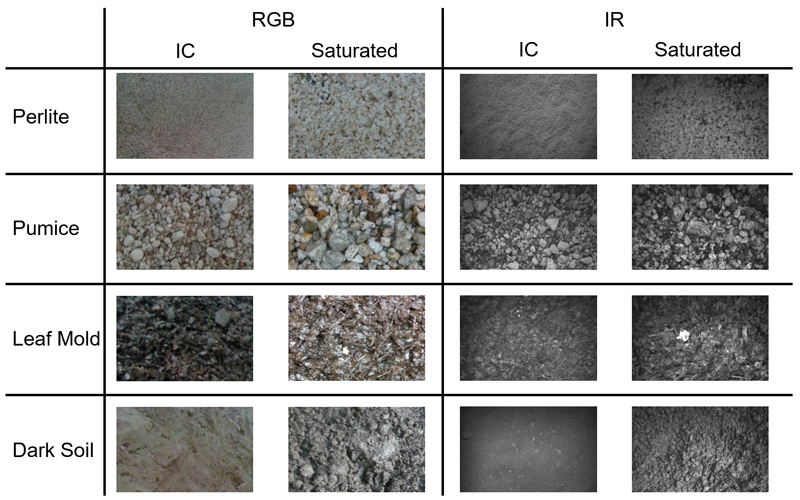Typical examples of RGB-IR images of each soil sample (IC: initial condition)