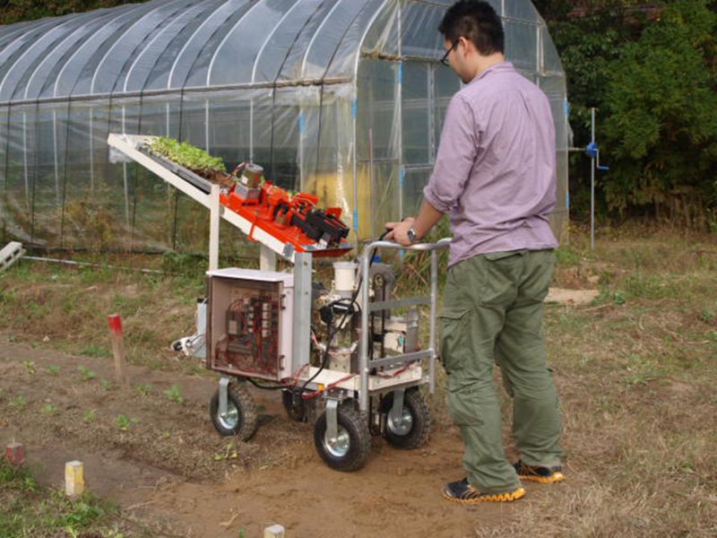 Developed transplanting equipment for chain pot seedlings during the performance test