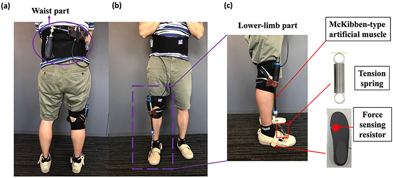 The appearance of the high-dorsiflexion assistive system