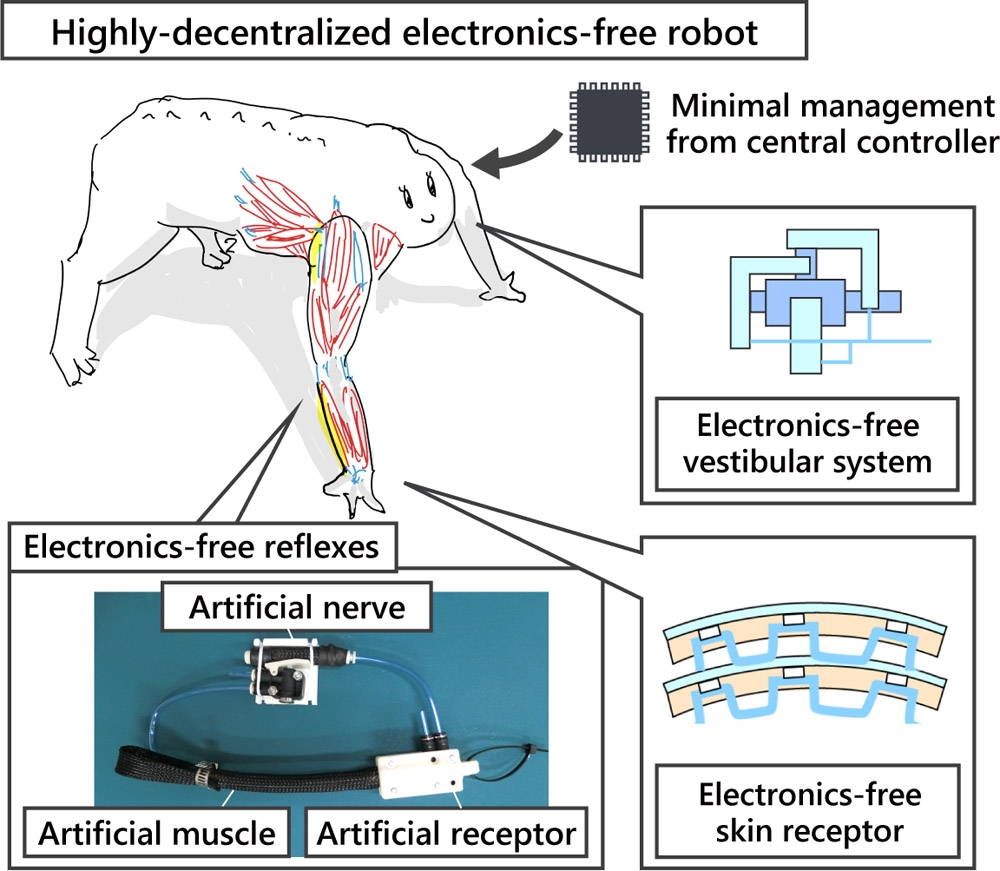 Review of Electronics-Free Robotics: Toward a Highly Decentralized Control Architecture