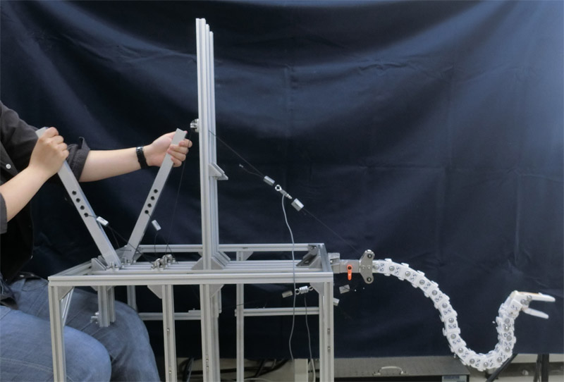 Robostrich, a prototype of an ostrich-inspired manipulator