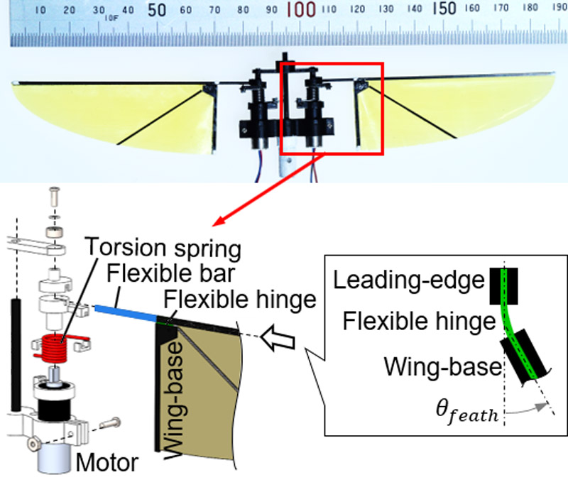 Flapping-wing robot with elastic parts