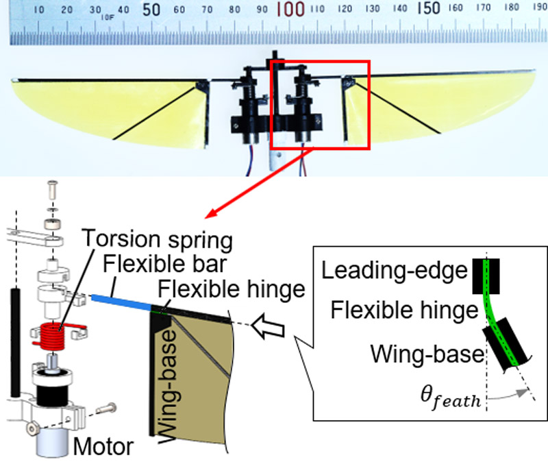 Flapping-wing robot with elastic parts