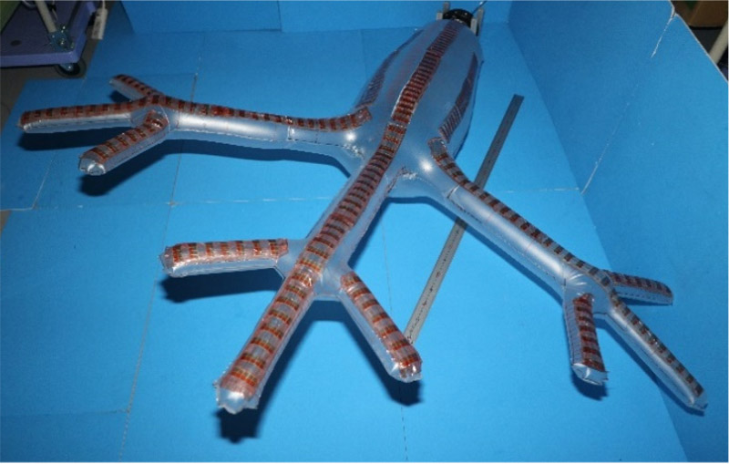 Nemertea proboscis inspired branched torus mechanism