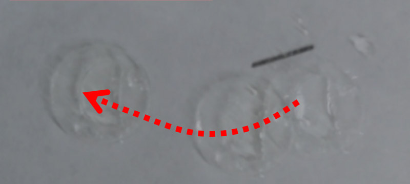 Active droplet using rigid frame