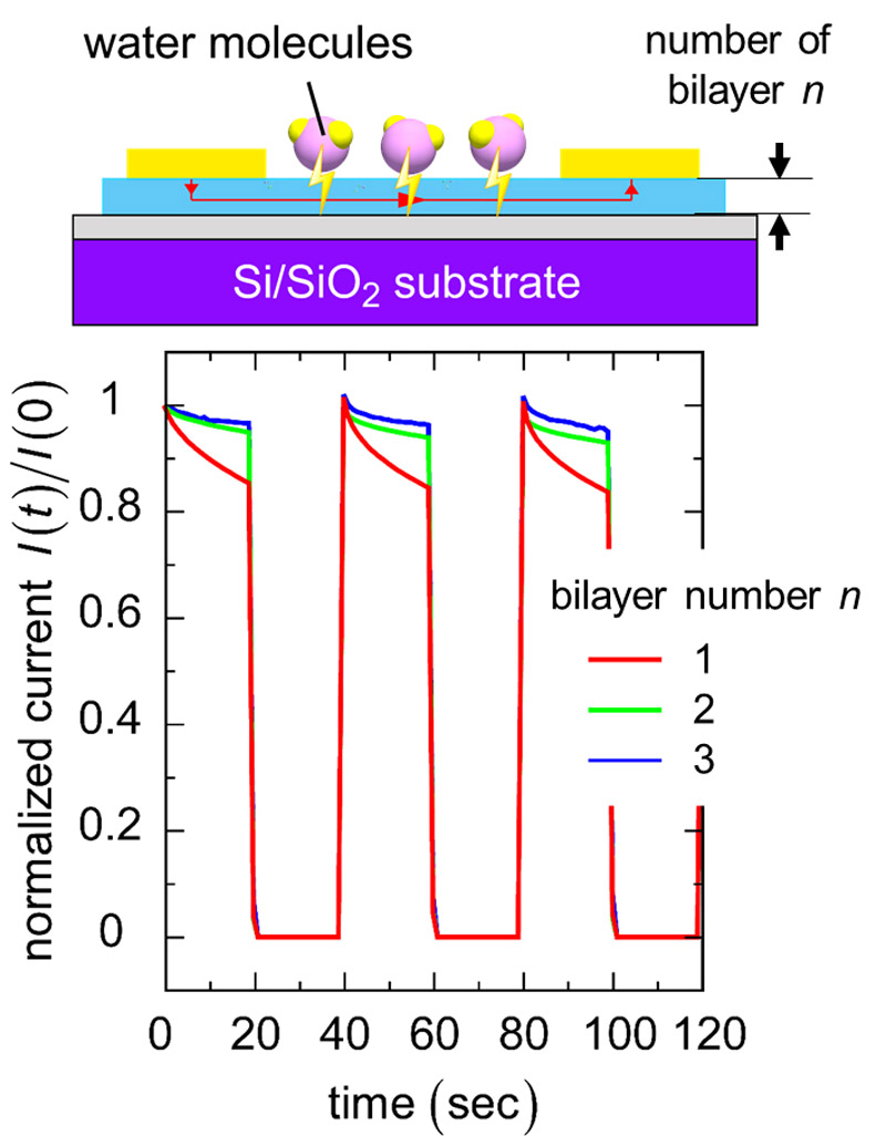 Environmental Response Sensors Produced Using Bilayer-Type Organic Semiconductors
