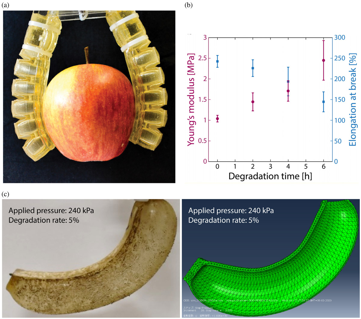 Gelatin based “green” soft actuators