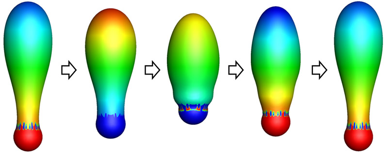 Upward propulsion of a soft microrobot