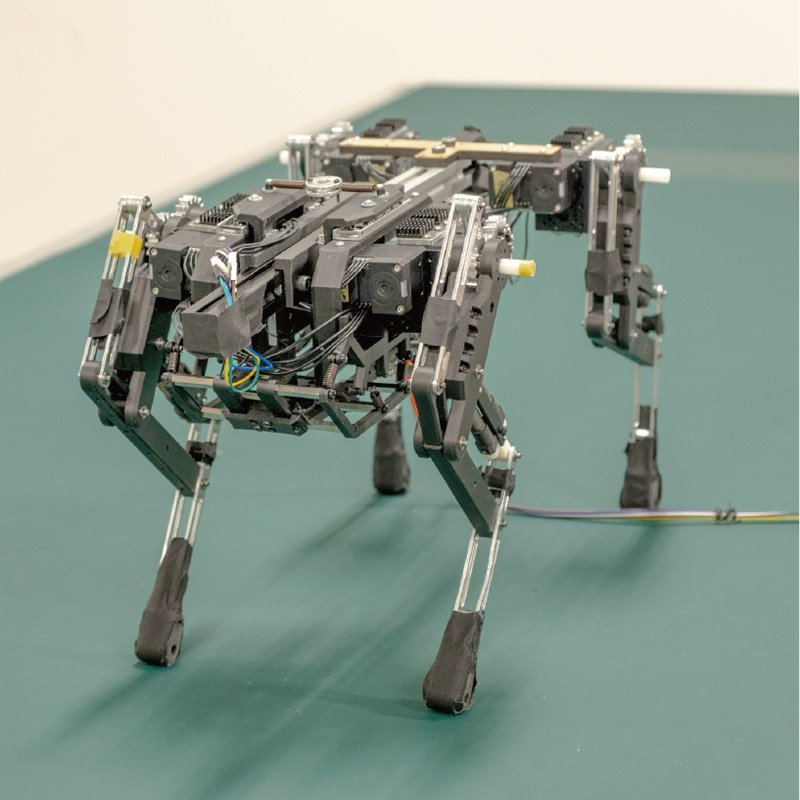 Developed quadrupedal robot mimicking the flexible shoulder in cursorial mammals