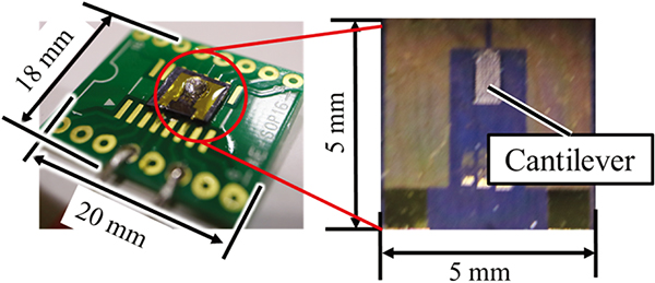 The tactile sensor chip and cantilever