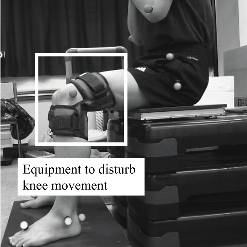 Analysis of Muscle Activity in the Sit-to-Stand Motion When Knee Movability is Disturbed